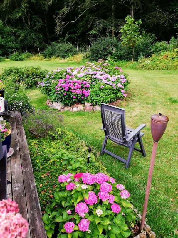 The Foresters House- Idyllic Tranquility- Non Smokers Only Store Heddinge Ngoại thất bức ảnh